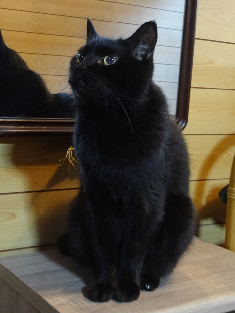 DSC00936k