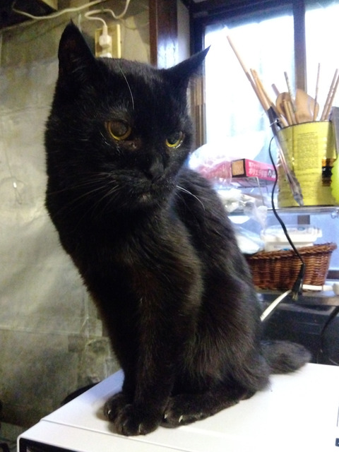 IMG_2026-04-15-05-44-05-588c