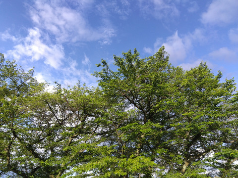 IMG_2026-05-29-06-12-01-892c