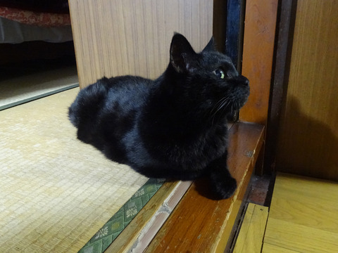 DSC06170i