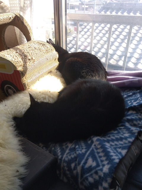 IMG_2024-02-28-14-36-51-890a