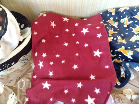 IMG_2025-12-30-07-44-31-975c