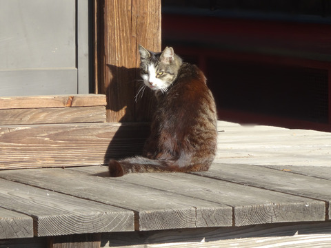 DSC06008k