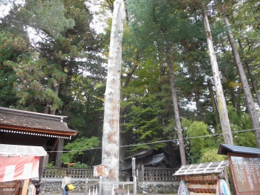 11d661f4.jpg