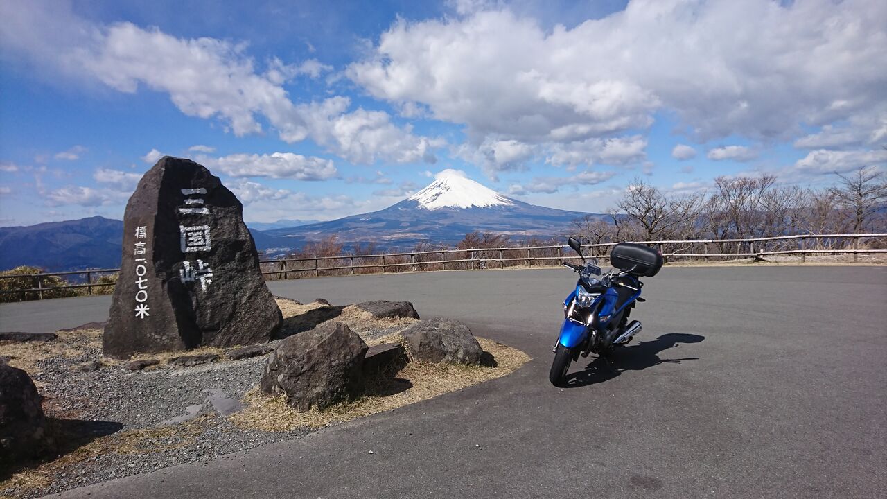 ふくろうは雑に箱根を走りたい くたばりかけの梟は何を観る