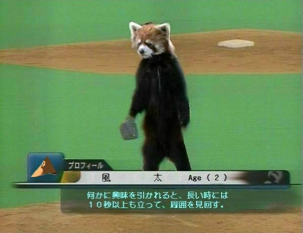 まるで 透明になったみたい 全部自分をすり抜けていく タライの世界