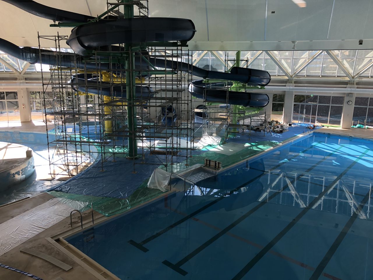 お年賀 まー日記 地球のどこか