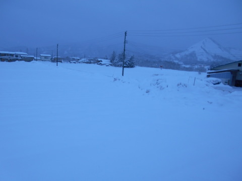 DSCN0330