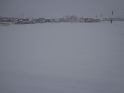DSC01579
