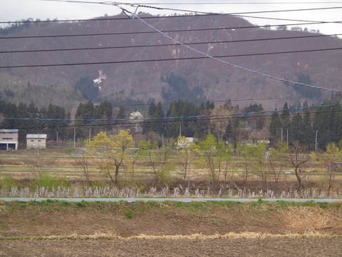 DSC01272