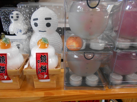 DSCN0316
