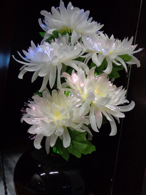 DSC01025