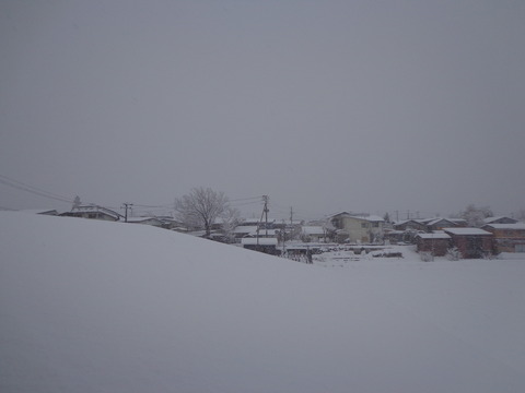 DSC01582