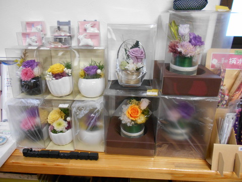DSCN0786