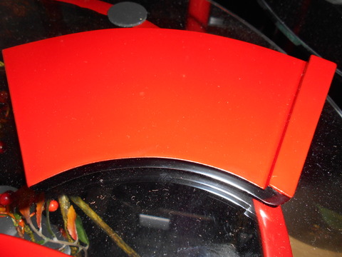 DSCN0347