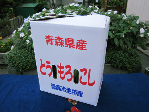 外装