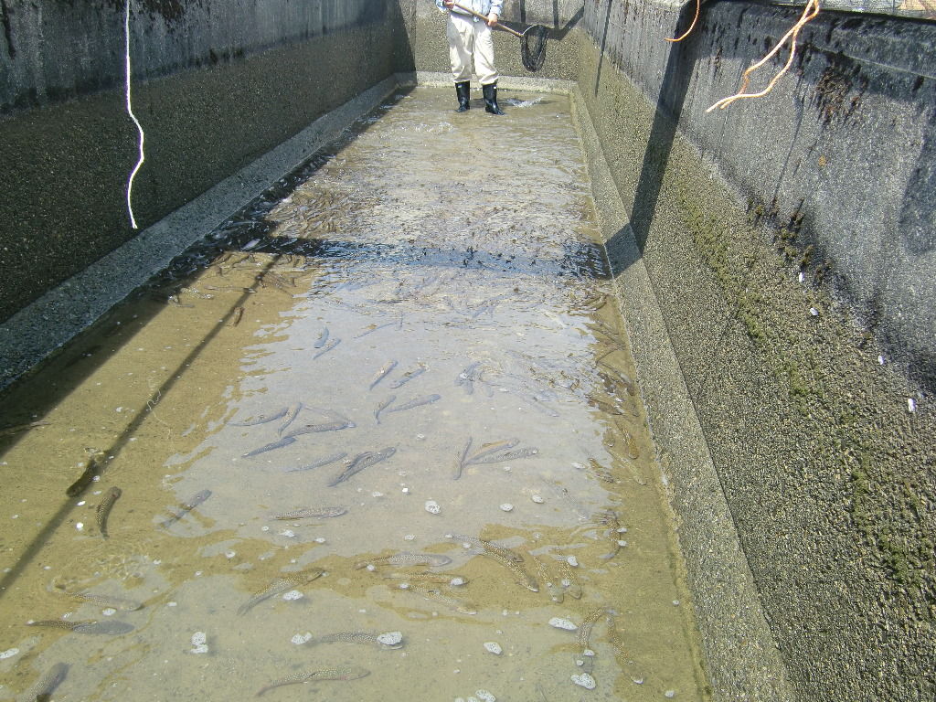 イメージ 5