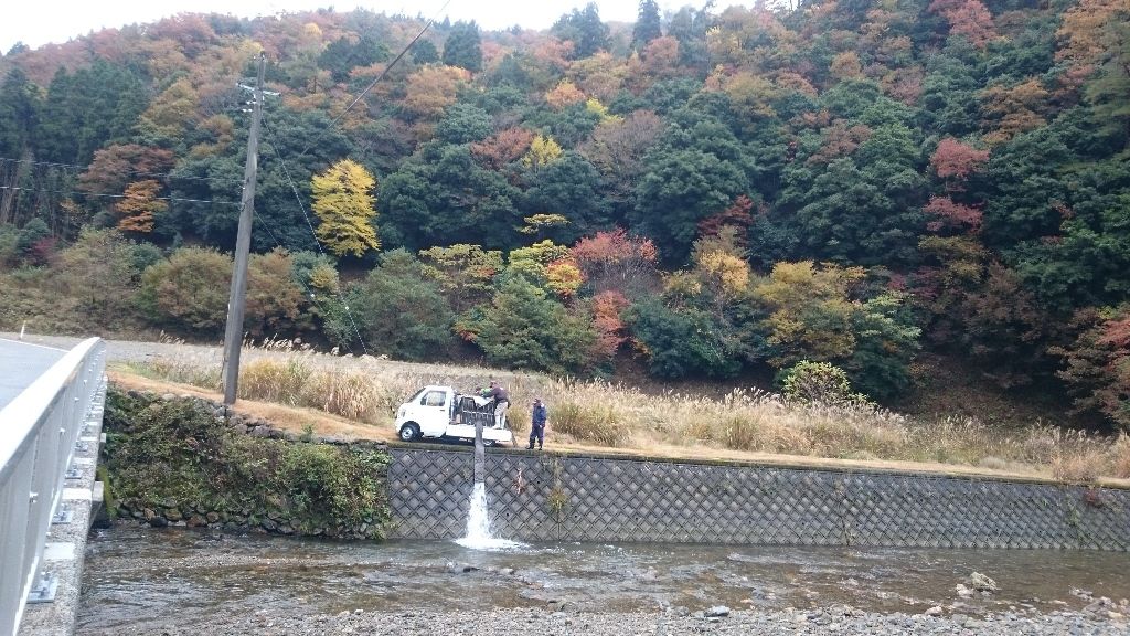 イメージ 8