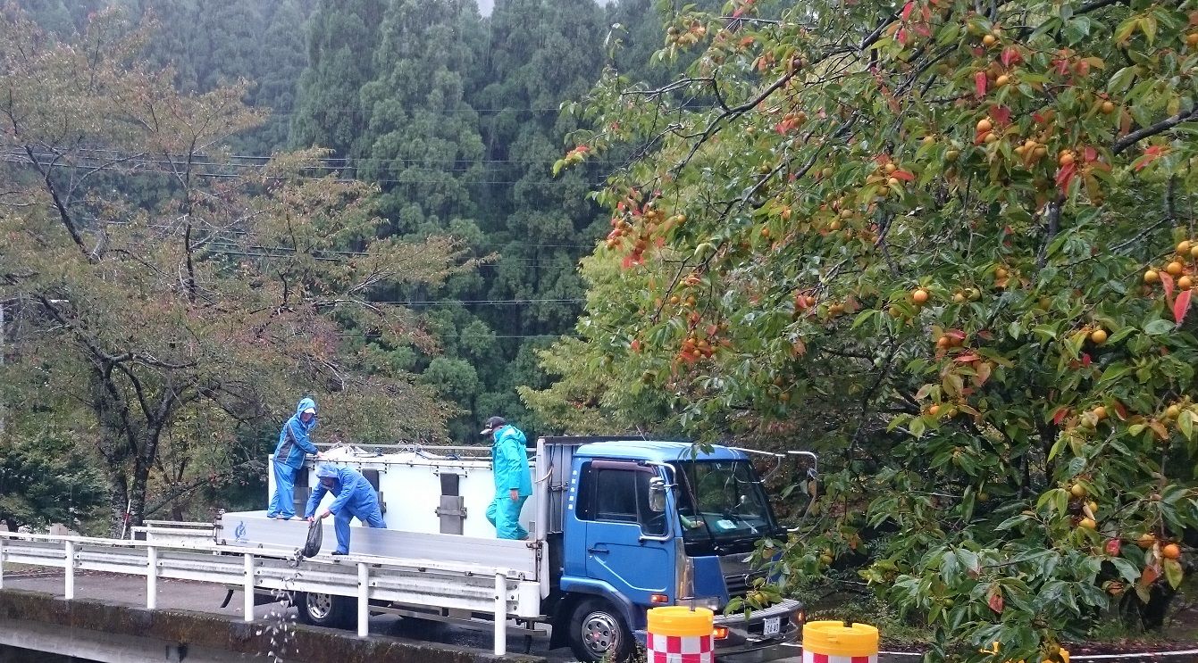 イメージ 3