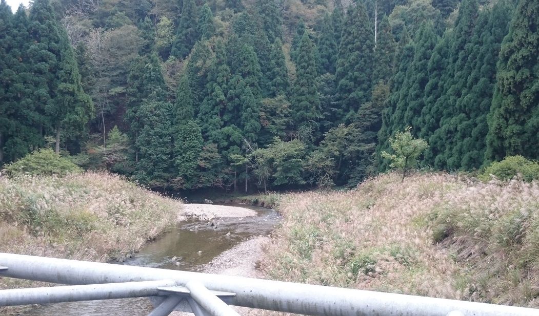 イメージ 3