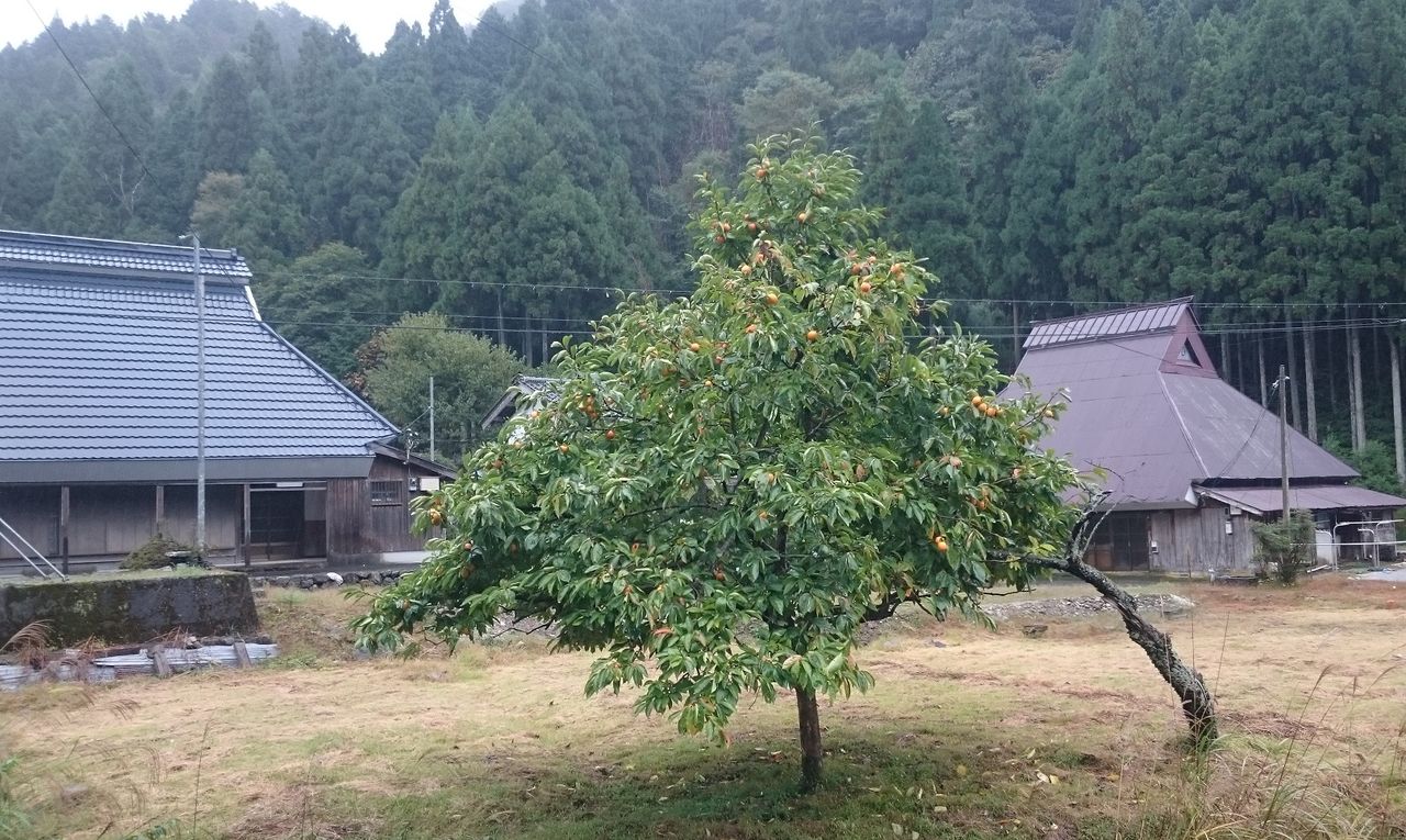 イメージ 12