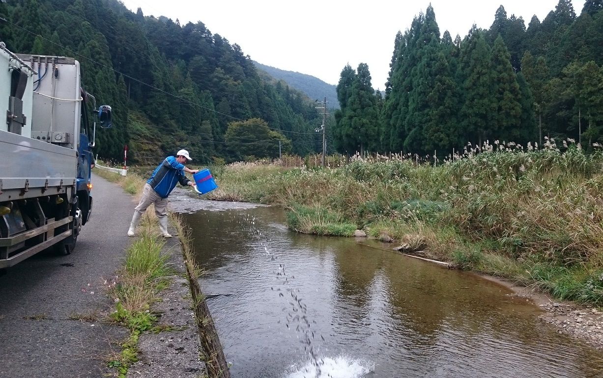 イメージ 10