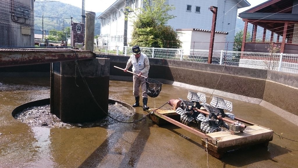 イメージ 1