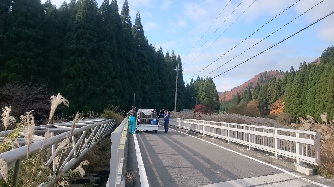 イメージ 10
