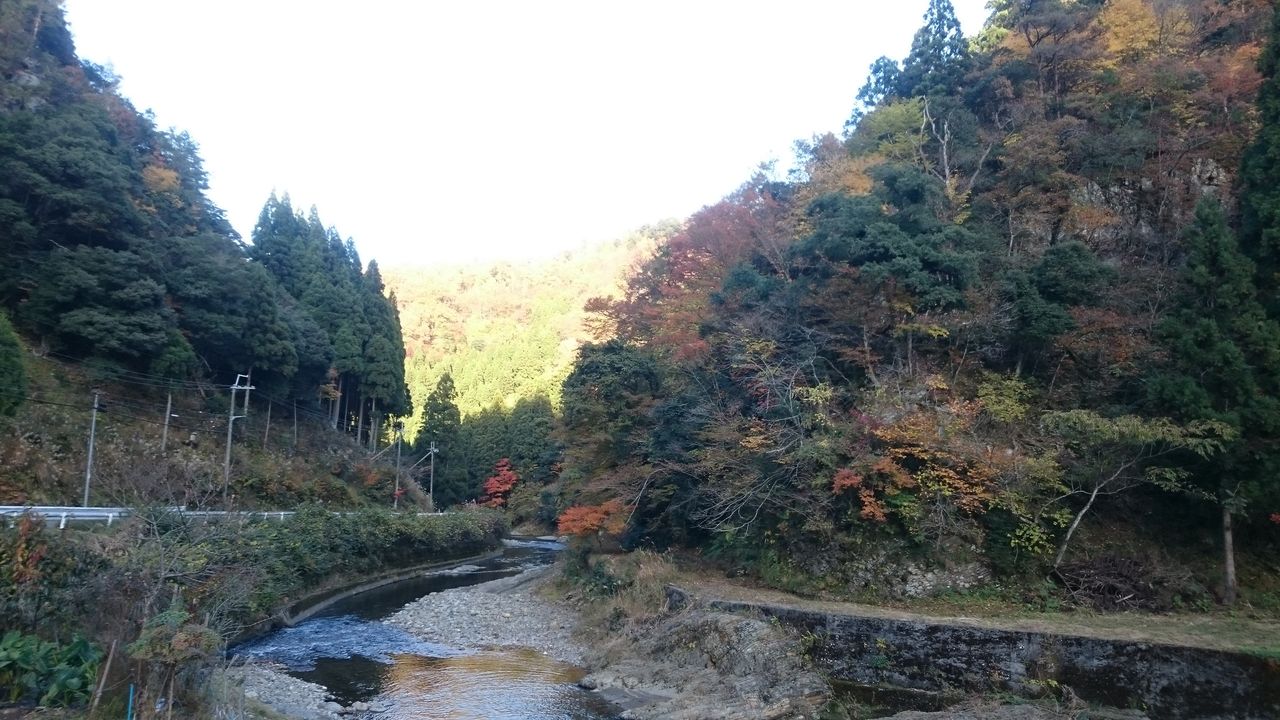 イメージ 3
