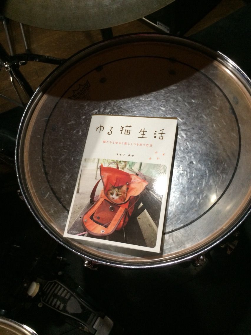 ほそいさんの「ゆる猫生活」買いました。キャベツとシーチキンと