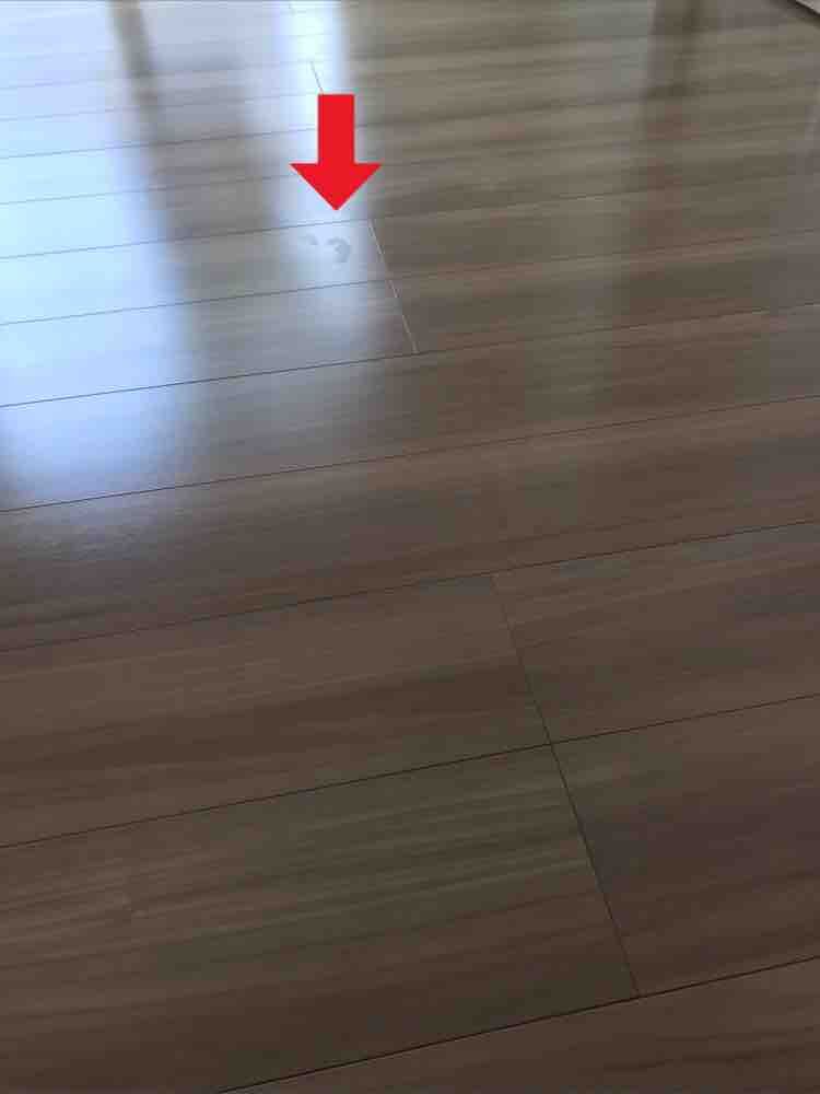 フローリングに犬用ワックスを塗ってみた トイプードルくーちゃんといっしょ