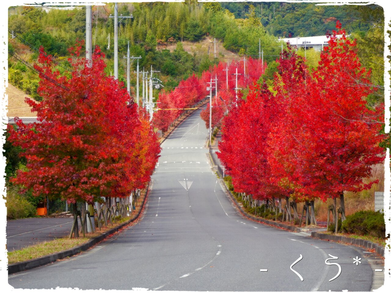 モミジバフウ並木 穂野果菜おやつ と ごはん 幸房 空 Kuu