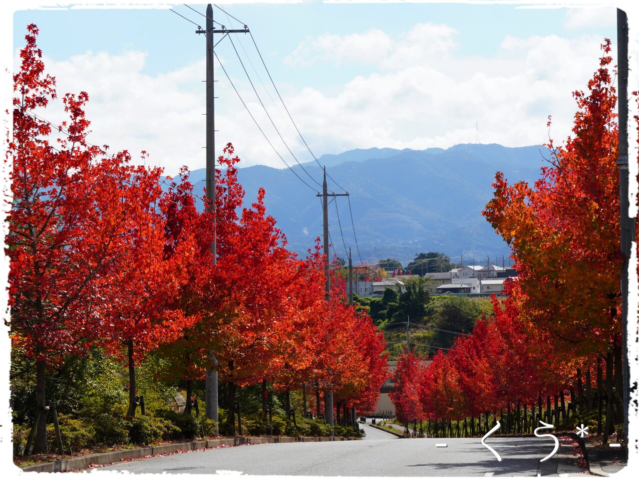 モミジバフウ並木 穂野果菜おやつ と ごはん 幸房 空 Kuu