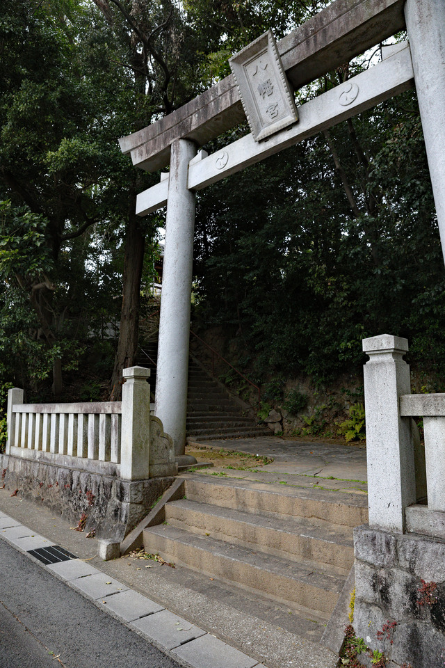 岡崎海軍航空隊