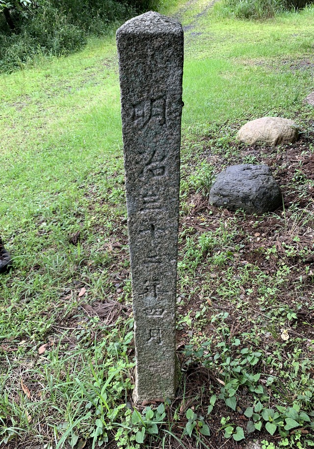 46.2