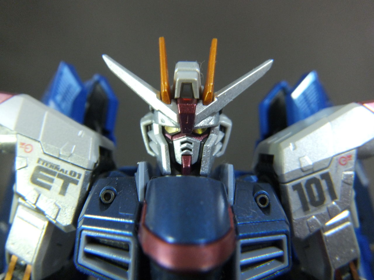 RG フリーダムガンダム エクストラフィニッシュVer. : Trash Box