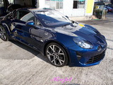 ����ԡ��̡�A110���ܥǥ������ƥ��󥰻ܹ�