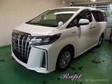 �ȥ西������ե����ɡ��ܥǥ������ƥ��󥰻ܹ�