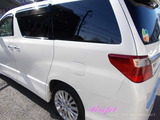 �ȥ西������ե����ɡ��ܥǥ������ƥ��󥰻ܹ�