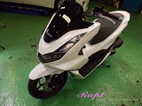 �ۥ����PCX160���ܥǥ������ƥ��󥰻ܹ�