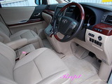 �ȥ西������ե����ɡ����⥯�꡼�˥�