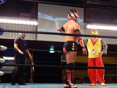 DSC00429 スパイダー