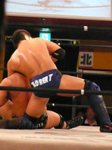 ロベ背中