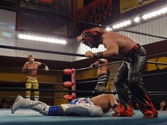 DSC00532