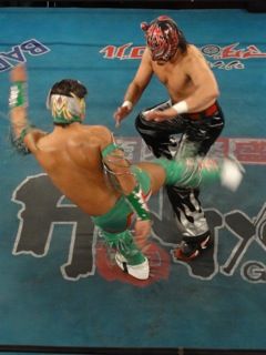 DSC07449 ミラクル