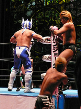 お邪魔虫