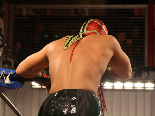 鬼の顔 大阪プロレス感染記 鬼の顔 大阪プロレス感染記