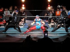 DSC08233 スパイダー