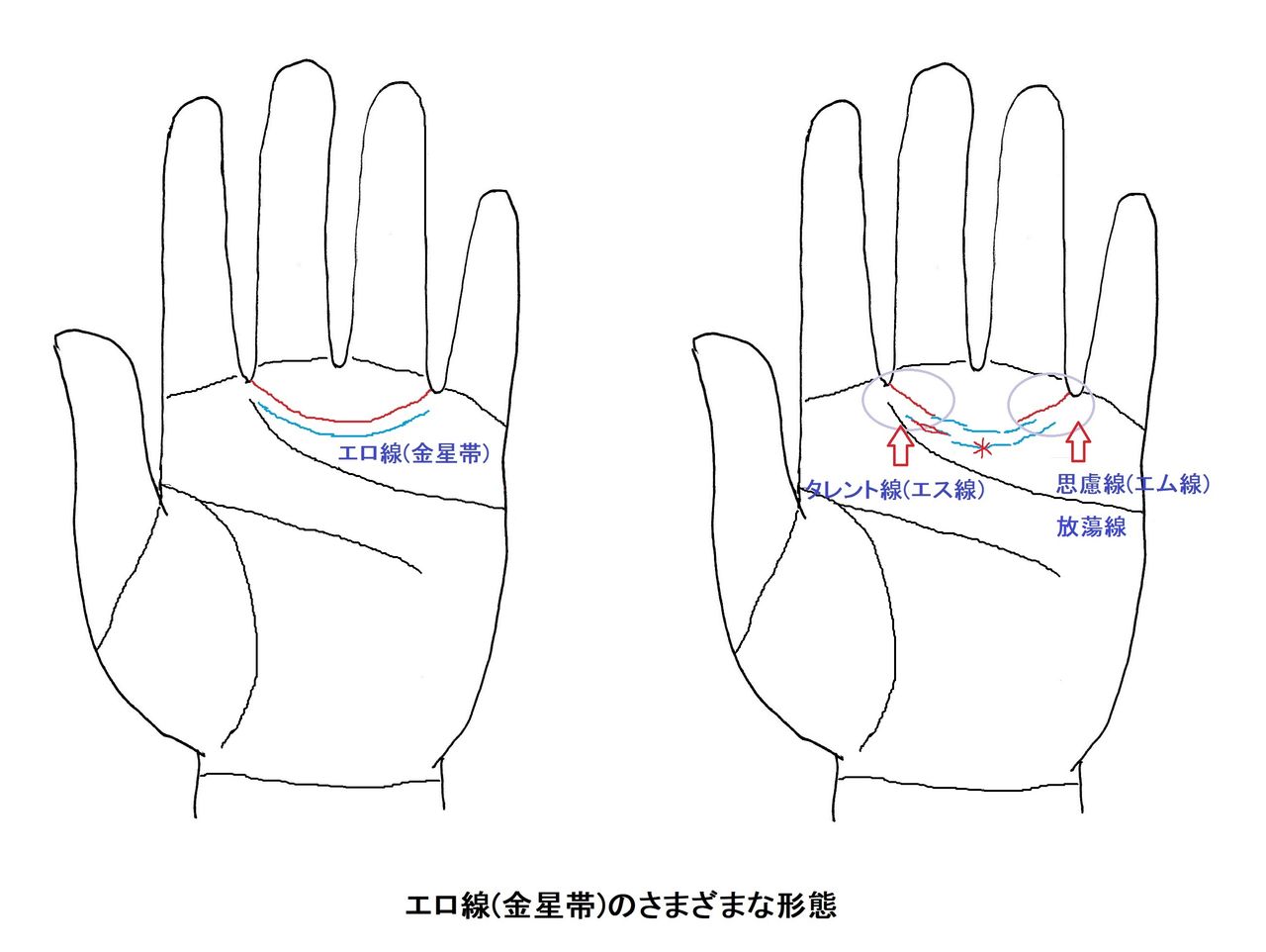 手相は究極の個人情報だ その14 エロ線 金星帯 の巻 本真 似望の幸せ手相探求 手相は究極の個人情報だ その14 エロ線 金星帯 の巻 本真 似望の幸せ手相探求