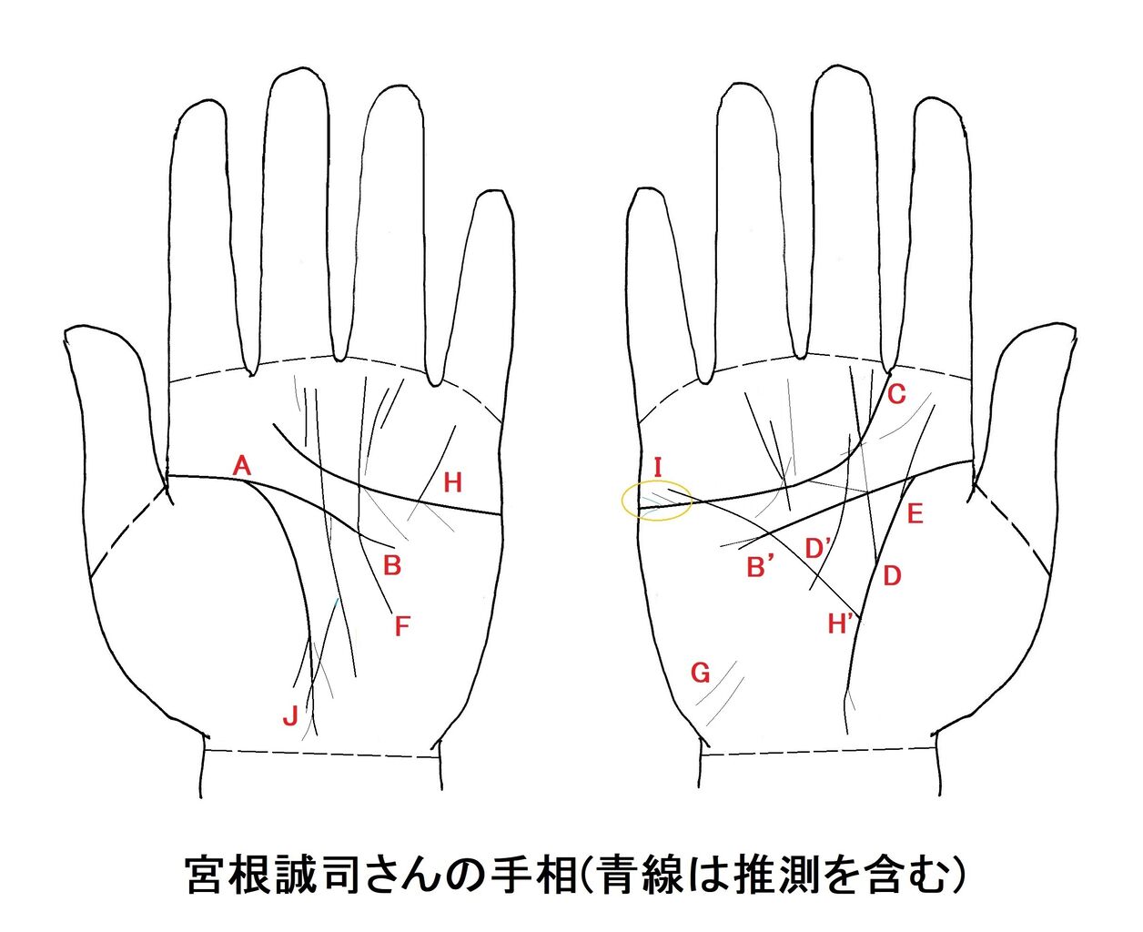 手相は究極の個人情報だ その43 お昼の情報番組で手相三昧ですの巻